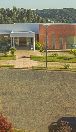 Cemitério Campos Gerais