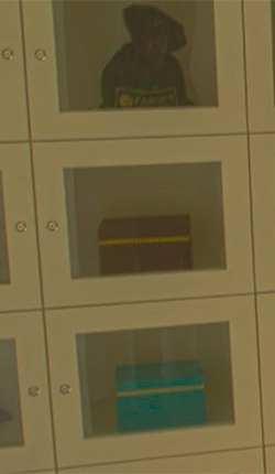 Cemitério Campos Gerais