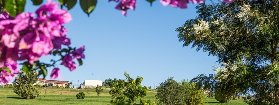 Cemitério Campos Gerais