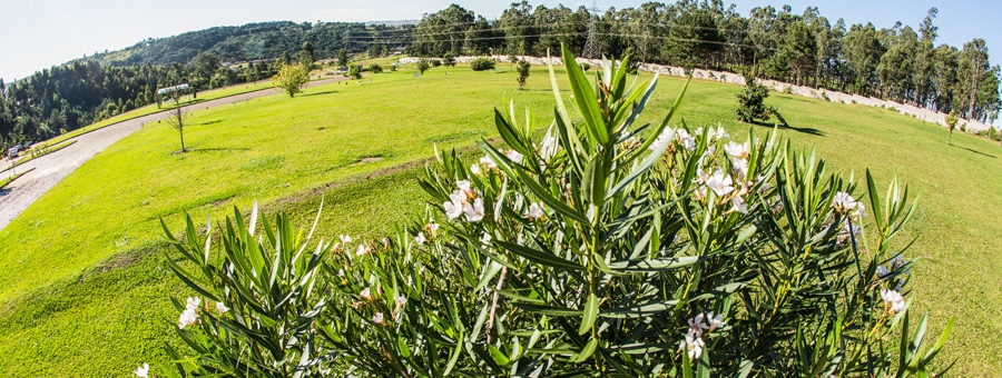 Cemitério Campos Gerais
