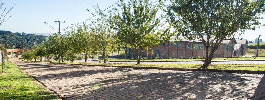 Cemitério Campos Gerais