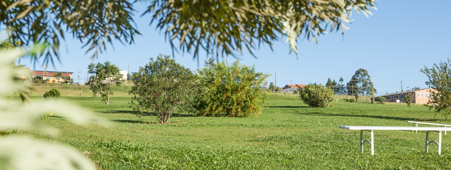 Cemitério Campos Gerais